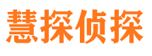 平乐市侦探公司